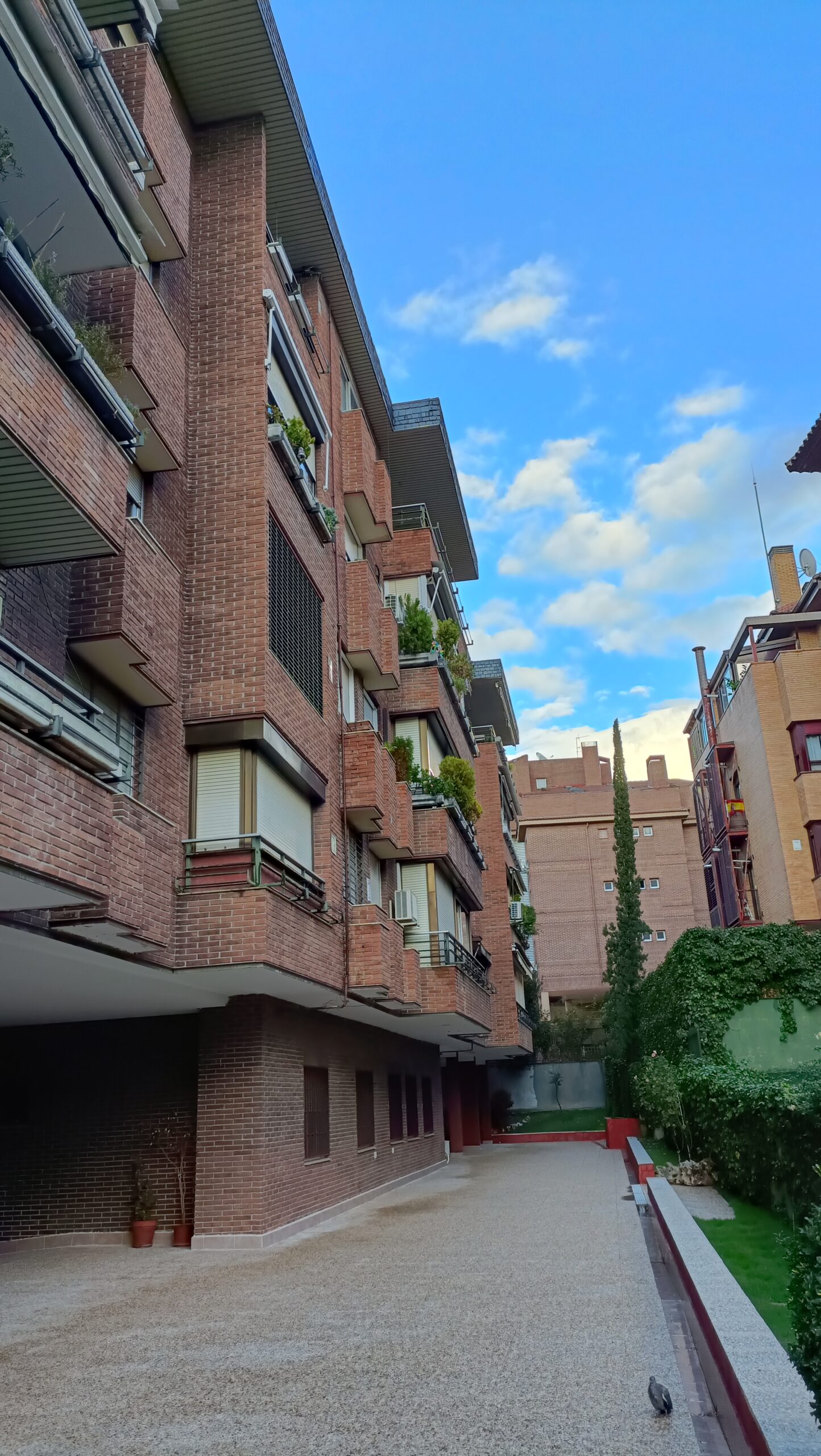 Aleixandre 4. Estado previo · Vista del conjunto de fachadas y del recorrido junto a los soportales.